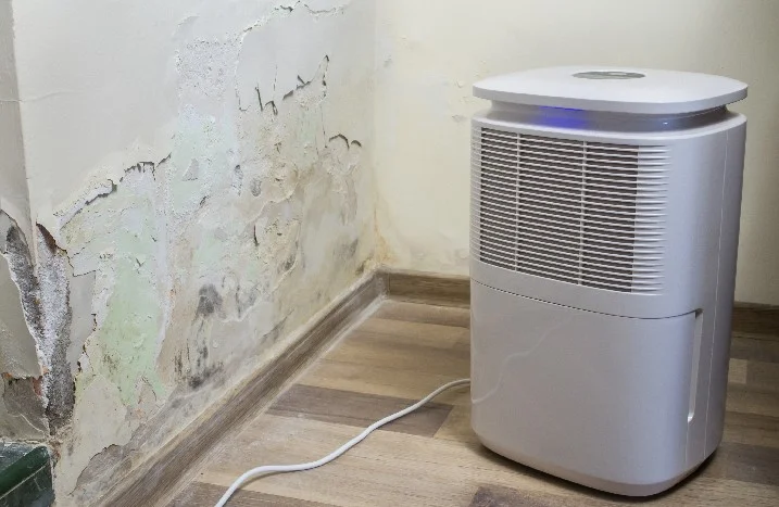 Luftentfeuchter in einem Raum mit feuchter Wand